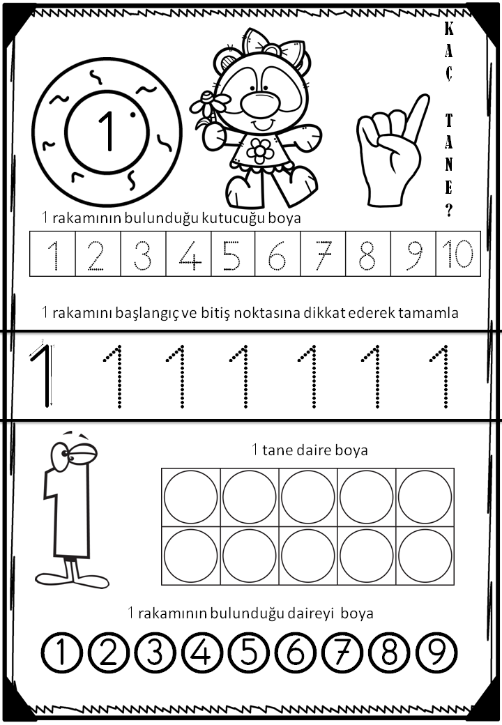 1 rakamını öğreniyorum